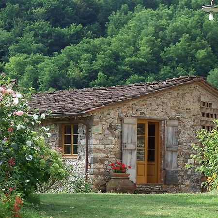 Villa Bottino By Salogi Villas San Martino in Freddana Exterior photo
